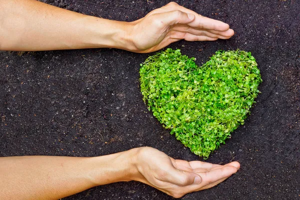 depositphotos hands holding green heart shaped image